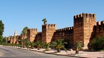 From Agadir Hotel or Port : Taroudant and Tiout Oasis