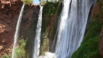 Ouzoud Waterfalls Full-Day Tour from Marrakech
