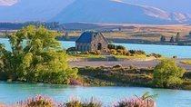 Lake Tekapo and Lake Pukaki Day Tour