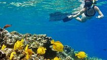 Kealakekua Bay Captain Cook Snorkel Adventure