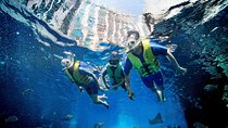 Dubai Lost Chambers Ultimate Snorkel Experience