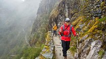 Famous IncaTrails in 2 unforgettable days to Machu Picchu.