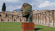 Pompeii & Herculaneum Private Full Day Trip From Naples