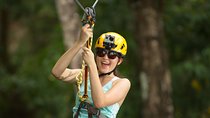 Jungle Xtreme Adventures and Zipline