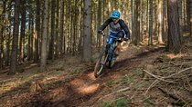 Private Custom Guided Mountain Bike Tour From Prague
