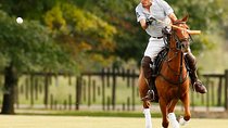 Polo Lessons from Buenos Aires by Polo Elite