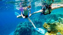 Adventure Snorkeling Tour To Ras Mohamed By Bus group tour