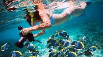 Snorkeling tour by boat and Intro Diving adventure