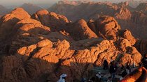 Mount Sinai Tour