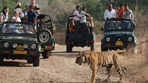 8 Day Golden Triangle Tour with Ranthambore {Taj , Tigers & More}