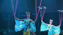 Acrobatics Show plus Ding Tai Fung Dinner Experience in Beijing