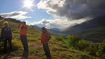 Denali 5 Hour Hiking Tour with Naturalist Guide