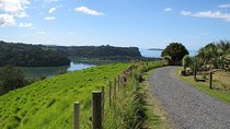 Matakana Scenic Coastal Getaway from Auckland