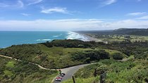 Muriwai Scenic Wine Tour from Auckland