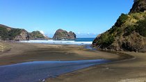 Piha Waitakere Rainforest Wine Tour from Auckland
