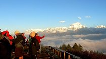 Ghorepani Poonhill Trek 5 Days from Pokhara