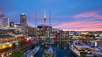  Auckland Highlights 4 Hrs city Tour