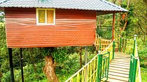 Private 4-Day Tour of Munnar and Aleppey with Houseboat Cruise