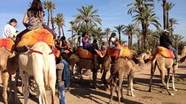  Camel ride in Marrakech palmeraie area