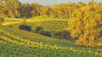 Swan Valley Private Tour