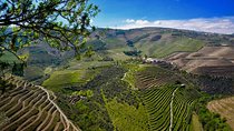 From Porto: Private Douro Valley Tour