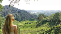 Explore Cameron Highlands: Full-Day Tour with Scenic Batu Caves