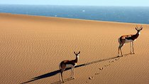 African Adventure Namibia