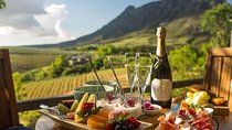 ( Cape town ) Private Winelands Tasting Full Day Tour