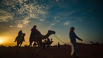 2-Day Zagora Tour from Marrakech Including the Atlas Mountains, Camel Trek and Desert Camp