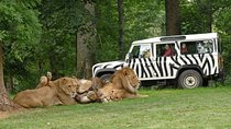 Private Return Transfer Thoiry Zoo Safari from Paris