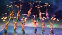 Beijing Night Tour Of Acrobatics Show Including Private Transfer