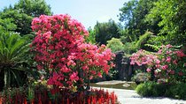 Xiamen Private Day Tour: Botanical Garden and Jimei School Village