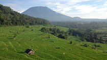 Tenganan Village Rice Field Trekking Tour