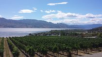 Tour and Taste Okanagan's Wine Country
