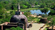 Private full day tour to Sigiriya Rock fortress and Polonnaruwa from Kandy