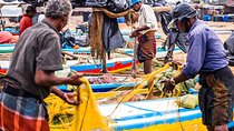Negombo Fishing Village exploration