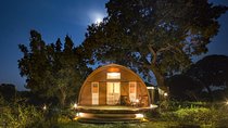 3-Day Luxury Glamping in Yala National Park