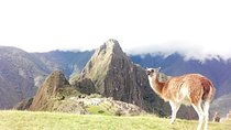 Small-Group Day Tour to Machu Picchu