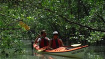 Paraty Sea Kayak Trip (2 days)