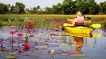 Goa Kayaking Sal Backwaters Mangroves Magic!