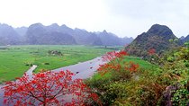 Perfume Pagoda Full-Day Guided Tour from Hanoi - All Inclusive