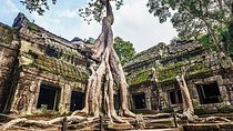 Full day tour in Angkor, Siem Reap: Small Circuit and Grand Circuit