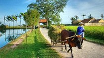 Duong Lam Ancient Village full day tour from Hanoi & experiencing local life