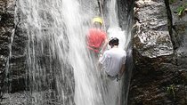 Tijuca National Park Hike and Waterfall Rappelling