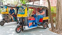Private Tour: Jaipur Sightseeing by Tuk-Tuk