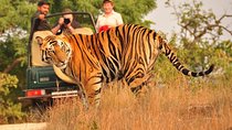 Private: Jaipur To Ranthambore One Way Drop in an AC Vehicle