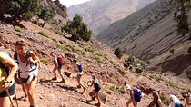 High Atlas Mountains Full Day Trek