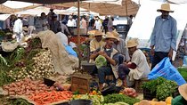 Guided Day Trip to Weekly Market at Atlas Mountains from Marrakech