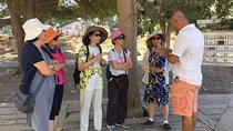 Full Day Ephesus Tour for Cruise Passengers