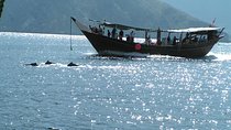 Dolphin Watching Cruise from Muscat